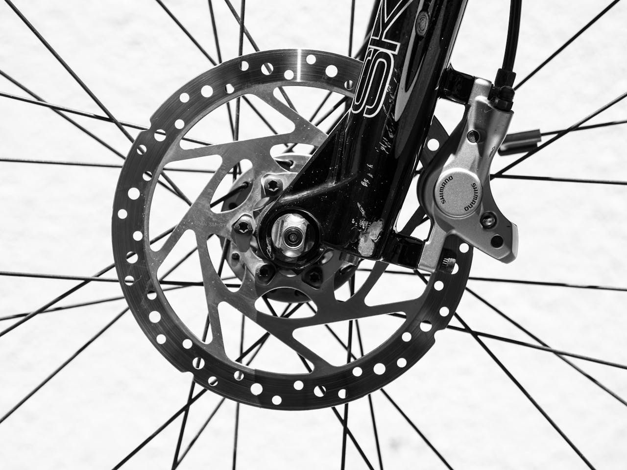 Detailed black and white image of a bicycle wheel highlighting disc brakes and spokes.